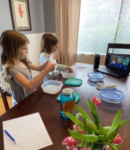 Students at home testing "what not to flush"