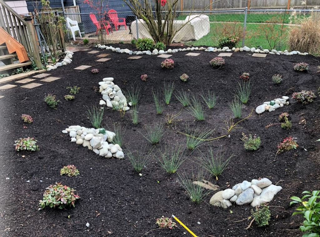A rain garden showing a shallow depression in the ground, with mulch, rocks, and plants
